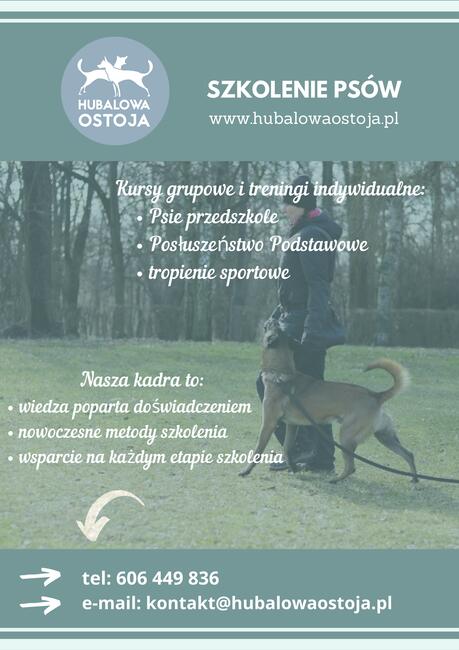 Szkolenie Psów Pogórze