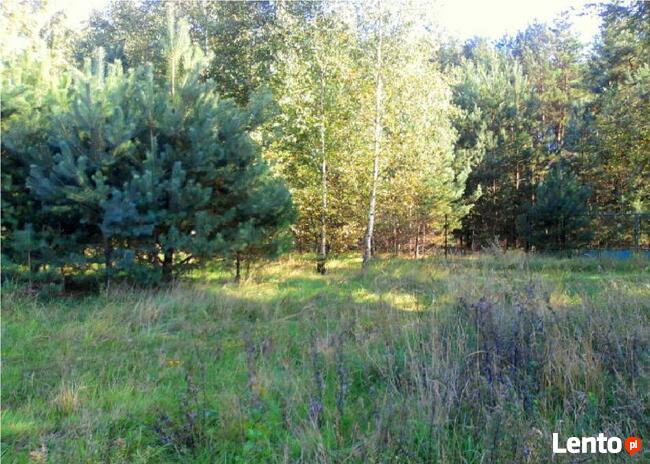 Ostrówek, Dąbrówka, Wołomin, Mazowieckie - działka budowlana