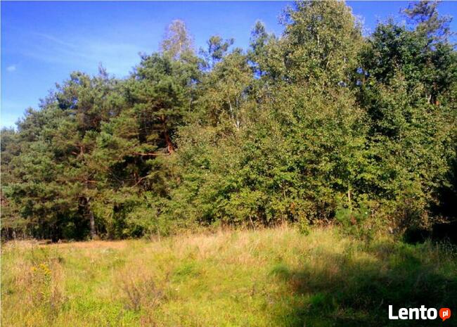 Ostrówek, Dąbrówka, Wołomin, Mazowieckie - działka budowlana