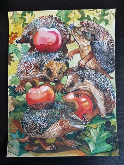 ILUSTRATORKA podejmie stałą współpracę z wydawnictwami.