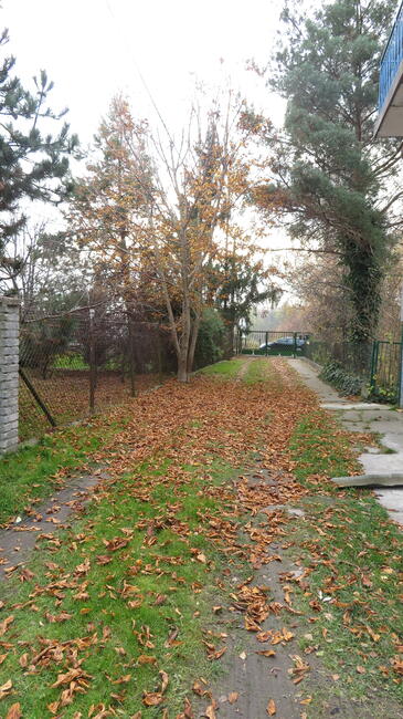 wynajem czesci podworka