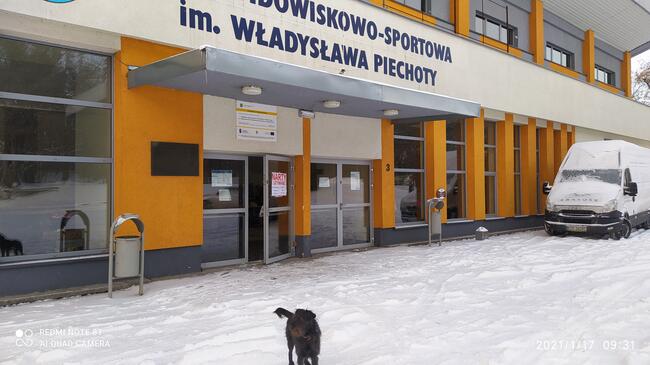 NARTY kiermasz w Krapkowicach -Hala Otmęt 2025 r