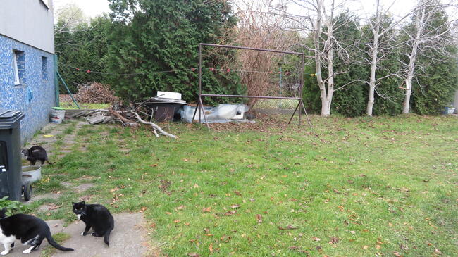 wynajem czesci podworka