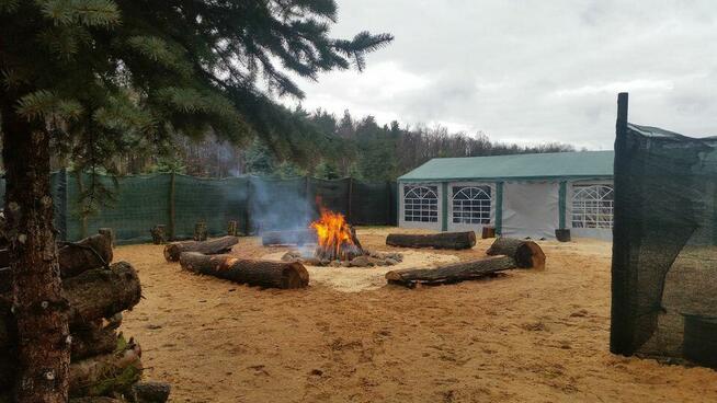 Dni Otwarte 2021- Plantacja choinek - Osuchów k/Mszczonowa