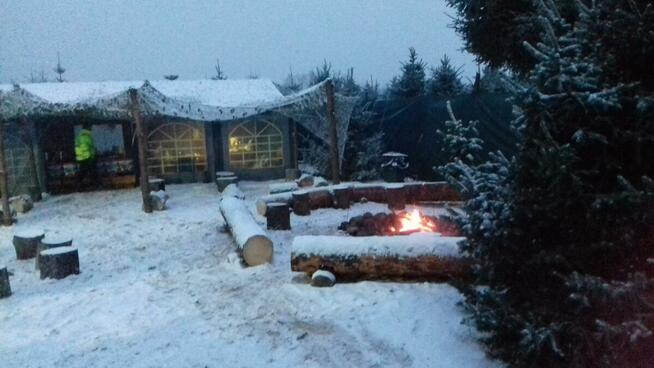 Dni Otwarte 2021- Plantacja choinek - Osuchów k/Mszczonowa