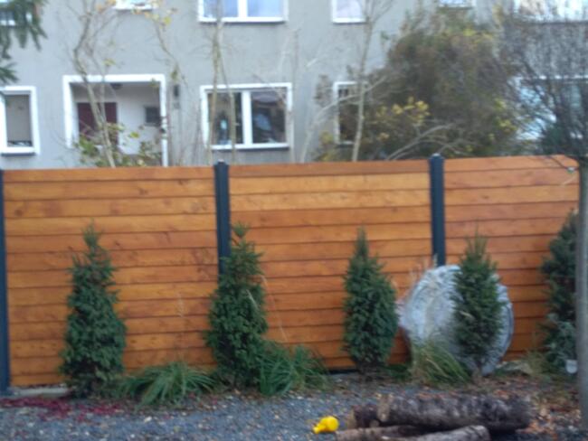 Pergole, przepierzenia