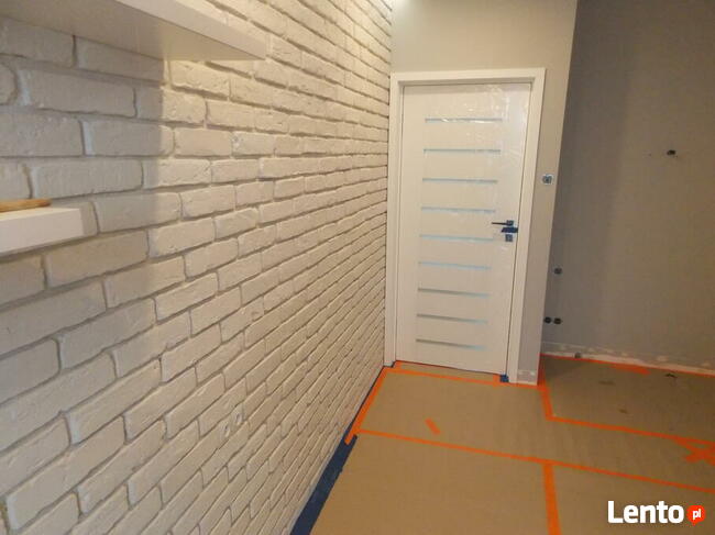 Siatki na Gołebie i koty / Remonty / Wykonczenia