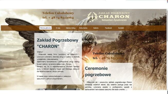 Projektowanie Stron Internetowych od 1100 zł