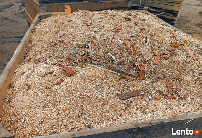 Opał - Trociny kora drewno dąb sosna olszyna grab brzoza