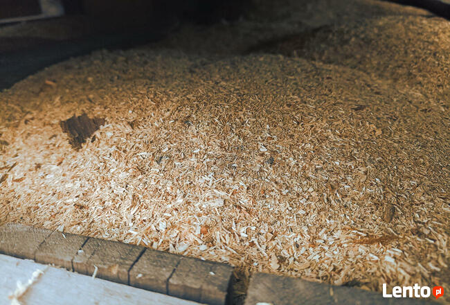 Opał - Trociny kora drewno dąb sosna olszyna grab brzoza