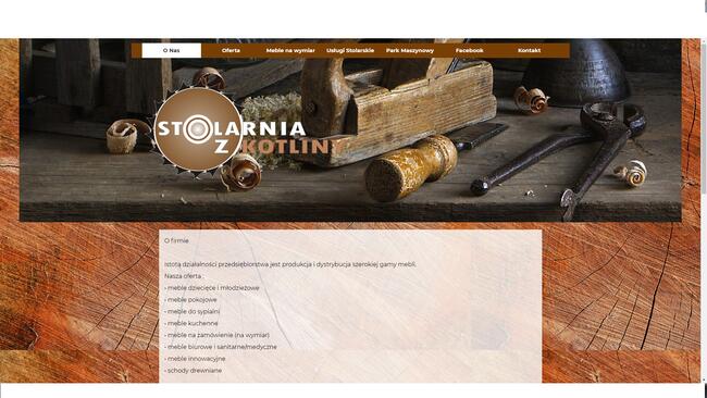 Projektowanie Stron Internetowych od 1100 zł