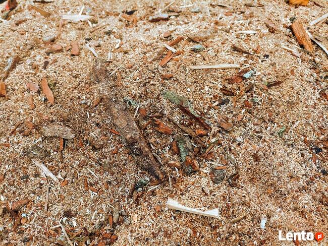 Opał - Trociny kora drewno dąb sosna olszyna grab brzoza