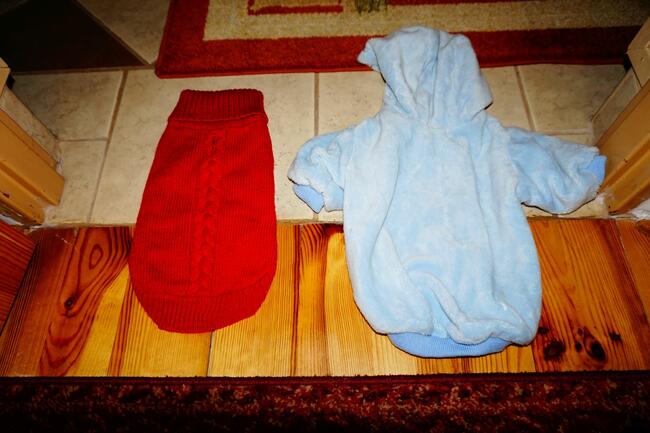 ubranka dla piesków rożne rozmiary i wzory !!! 10 zł !!