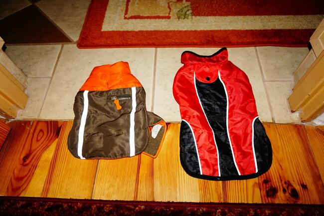 ubranka dla piesków rożne rozmiary i wzory !!! 10 zł !!