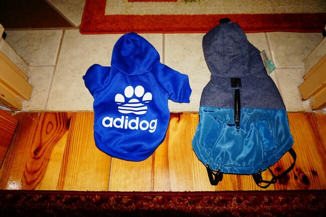 ubranka dla piesków rożne rozmiary i wzory !!! 10 zł !!