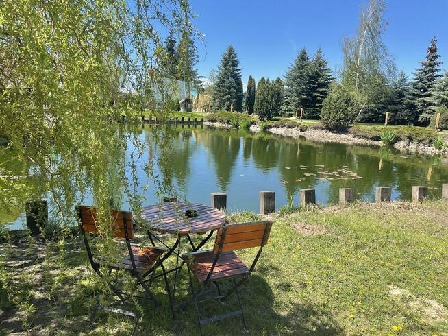 Agroturystyka Mirabelkowe Zacisze zaprasza!