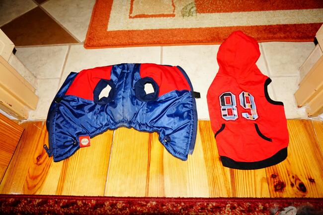 ubranka dla piesków rożne rozmiary i wzory !!! 10 zł !!