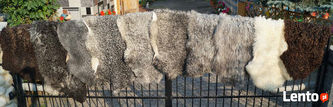 100% Natural Gotland Sheepskins, decorative carpet
