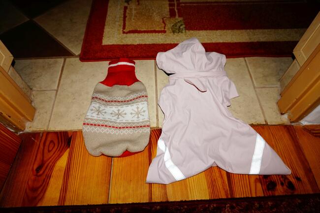 ubranka dla piesków rożne rozmiary i wzory !!! 10 zł !!