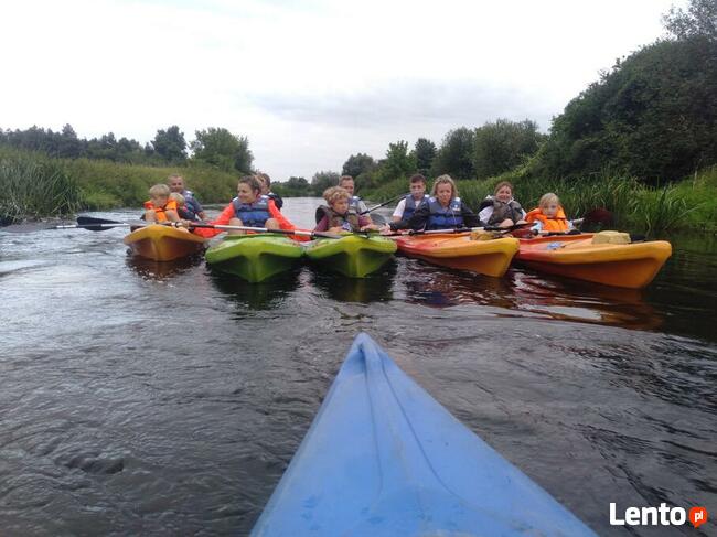 Spływy kajakowe Bastek Nidą