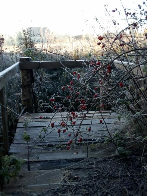 Agroturystyka Pokoje gościnne Noclegi - 730 450 496