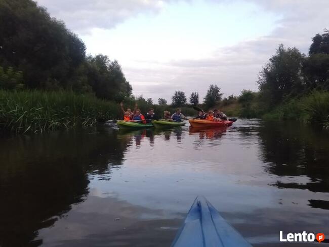 Spływy kajakowe Bastek Nidą