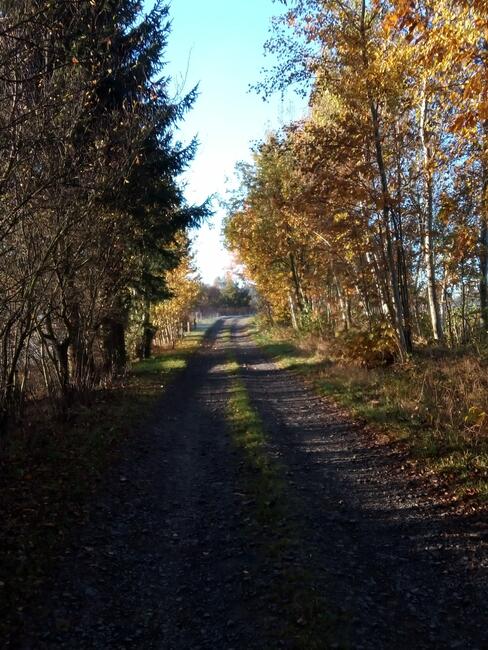 Agroturystyka Pokoje gościnne Noclegi - 730 450 496