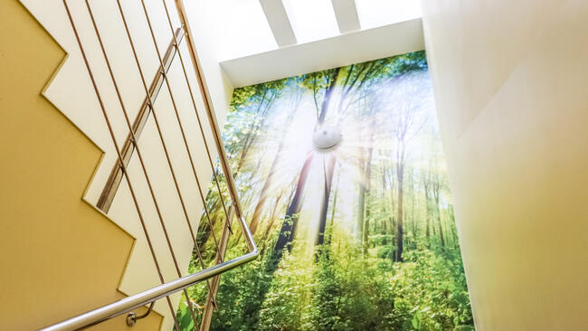 Gwiazdka nad jeziorem - Boże Narodzenie - Dom na Mazurach