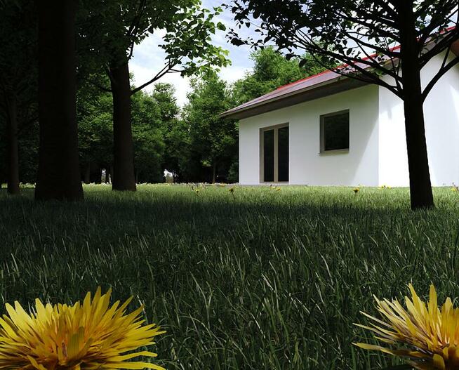 Projekt domu ZG1a - na zgłoszenie (bez pozwolenia)