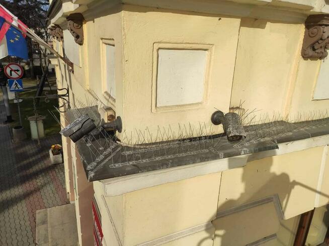 Montaz systemów Anty Ptak Kolce i siatki