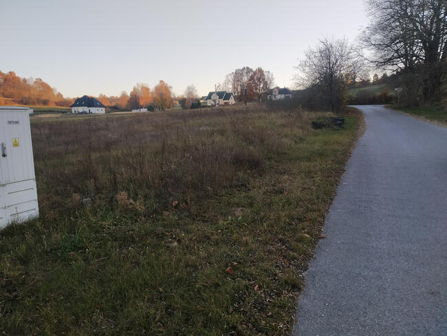 Zajączków - piękna działka