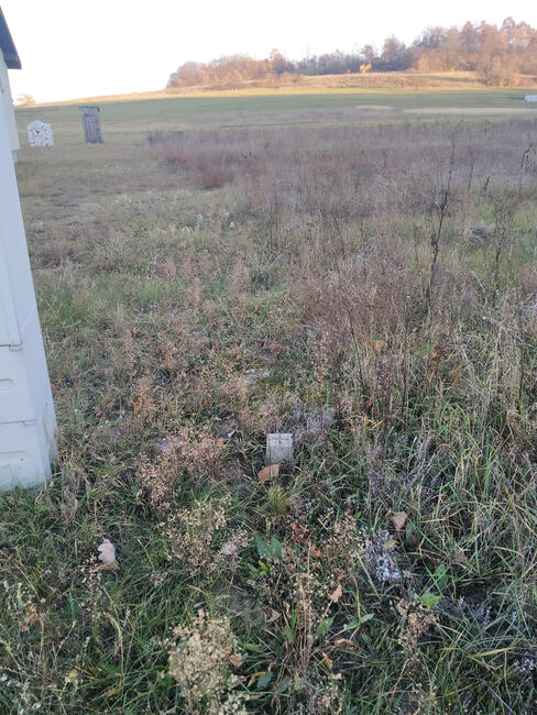 Zajączków - piękna działka