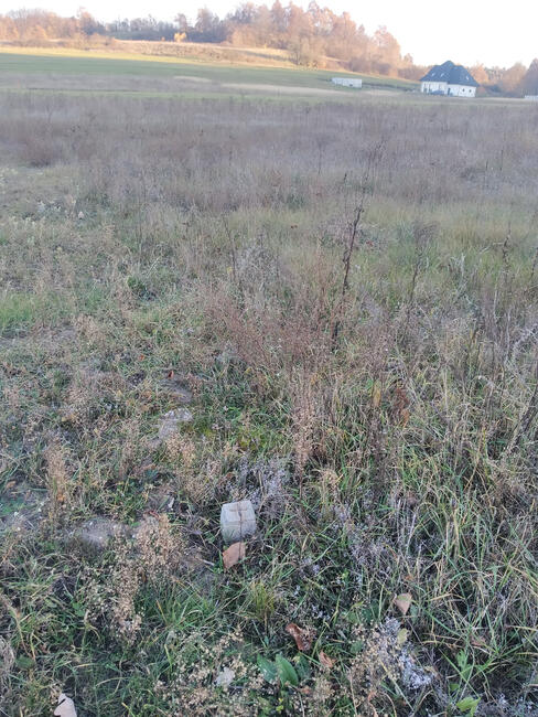 Zajączków - piękna działka