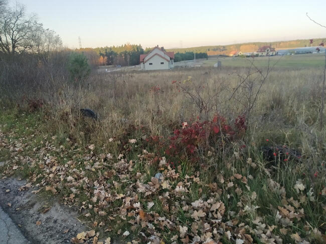 Zajączków - piękna działka