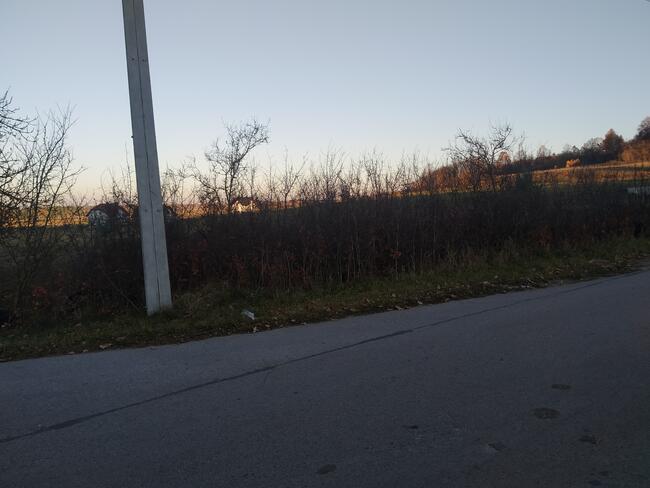 Zajączków - piękna działka