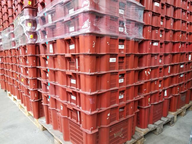 POJEMNIK skrzynka kuweta magazynowy transportowy-DUŻY-80x60x