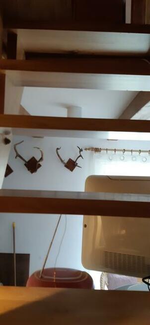 Domek letniskowy w Sztutowie