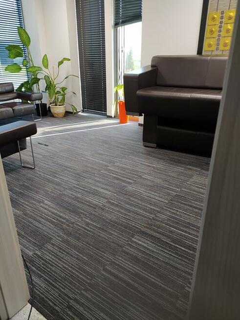 PUCUŚ Glancuś pranie Pranie wykładzin wielkopowierzchniowych