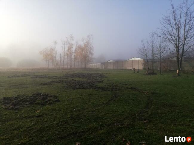 Sprzedam działkę w Drezdenku o pow. 3695 m2