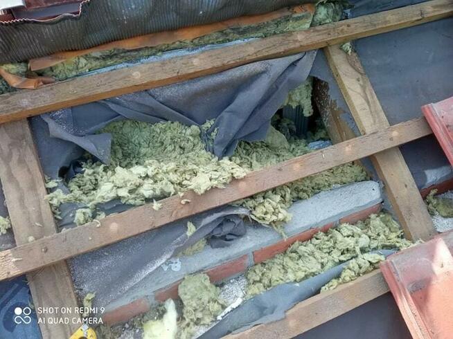 Odławianie kun łapanie kun naprawa szkód stalowa wola nisko