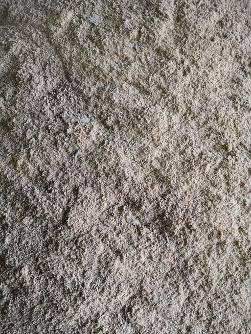 Młóto kukurydziane