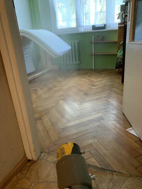 Zamgławianie ULV na pluskwy Warszawa i okolice