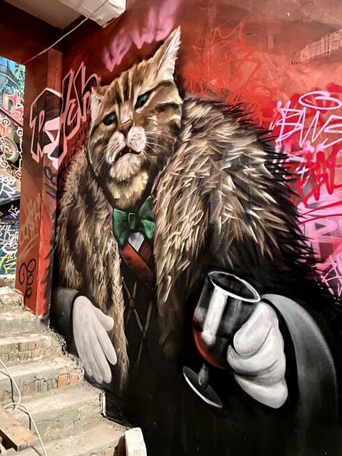 Kompleksowe Artystyczne Malowanie Murale / Graffiti / Street