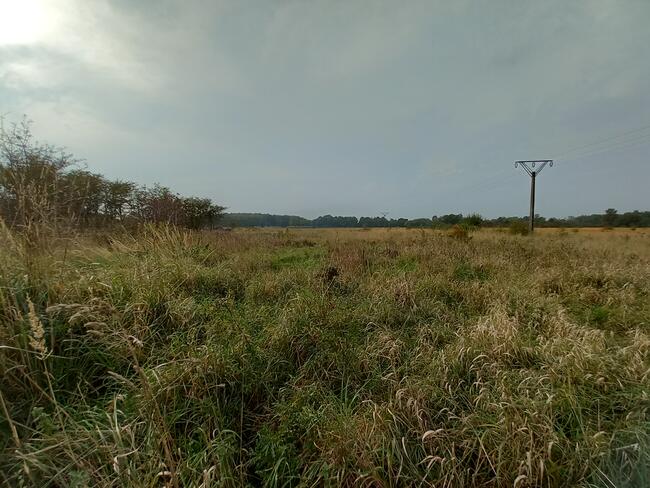 Duża działka budowlana o powierzchni 3.223 m2 blisko morza