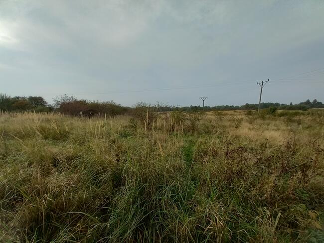 Duża działka budowlana o powierzchni 3.223 m2 blisko morza