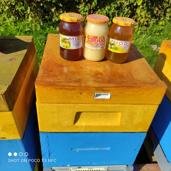 Swieży Miód z własej pasieki