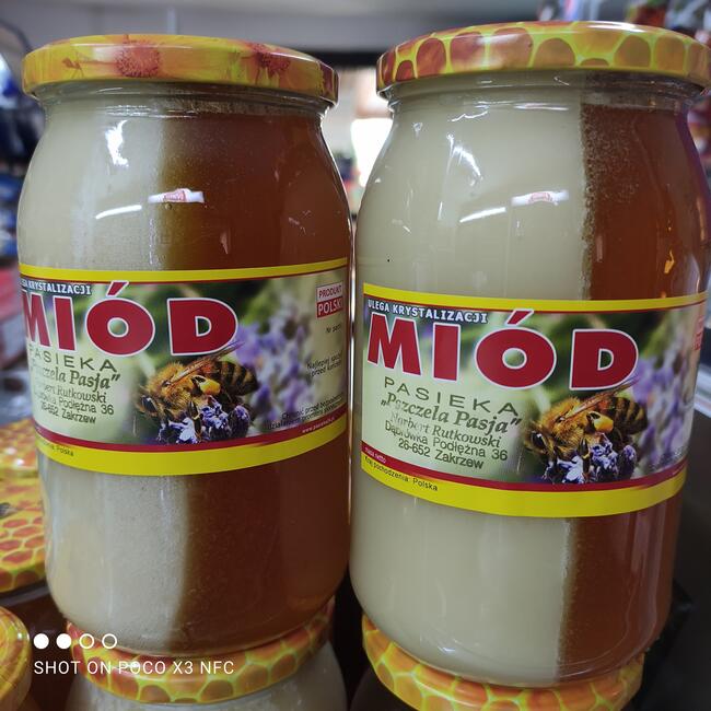 Swieży Miód z własej pasieki