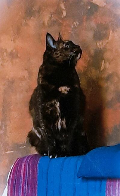 ️ ️Lubię lekko zezowate.