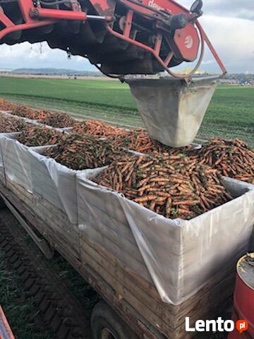 Wkłady do big bagów kaptury ochronne na palety worki skrzyń