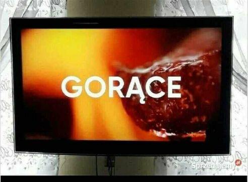 Samsung telewizor 40- LE40A551P2RXXC